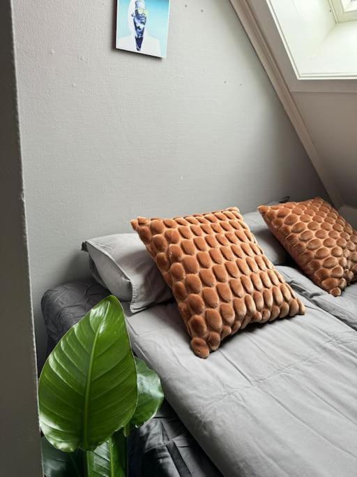 Urban Loftleilighet ทรอนด์เฮม ภายนอก รูปภาพ